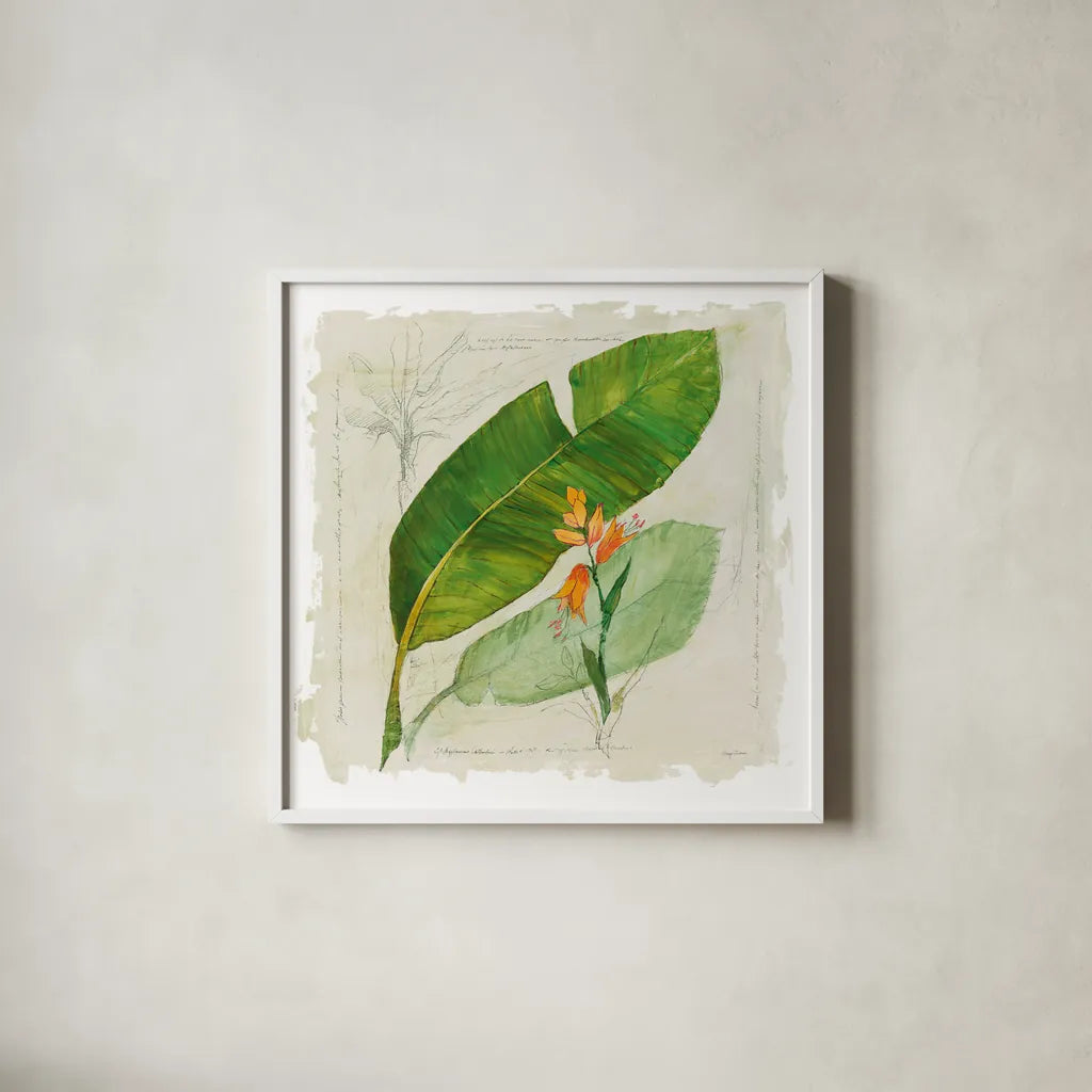 Botanical Study I Light by Avery Tillmon. Shown in a crisp white glass frame for a clean and minimalist style. Available as an archival giclee rolled canvas, fine art paper, or poster print. SKU 47397a.