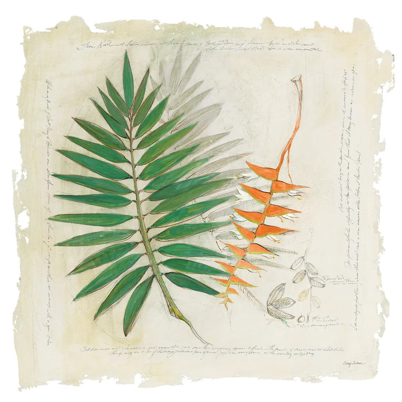 Botanical Study II Light by Avery Tillmon. SKU 47398a. Archival Giclee Fine art print for wall decor.