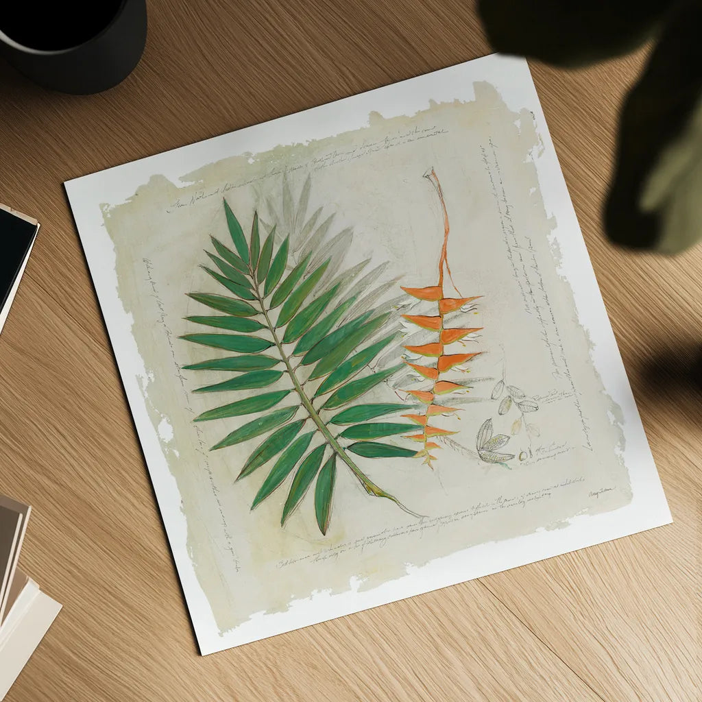 Botanical Study II Light by Avery Tillmon. Shown as a detailed flat fine art print, highlighting archival giclee quality. Available as an archival giclee rolled canvas, fine art paper, or poster print. SKU 47398a.