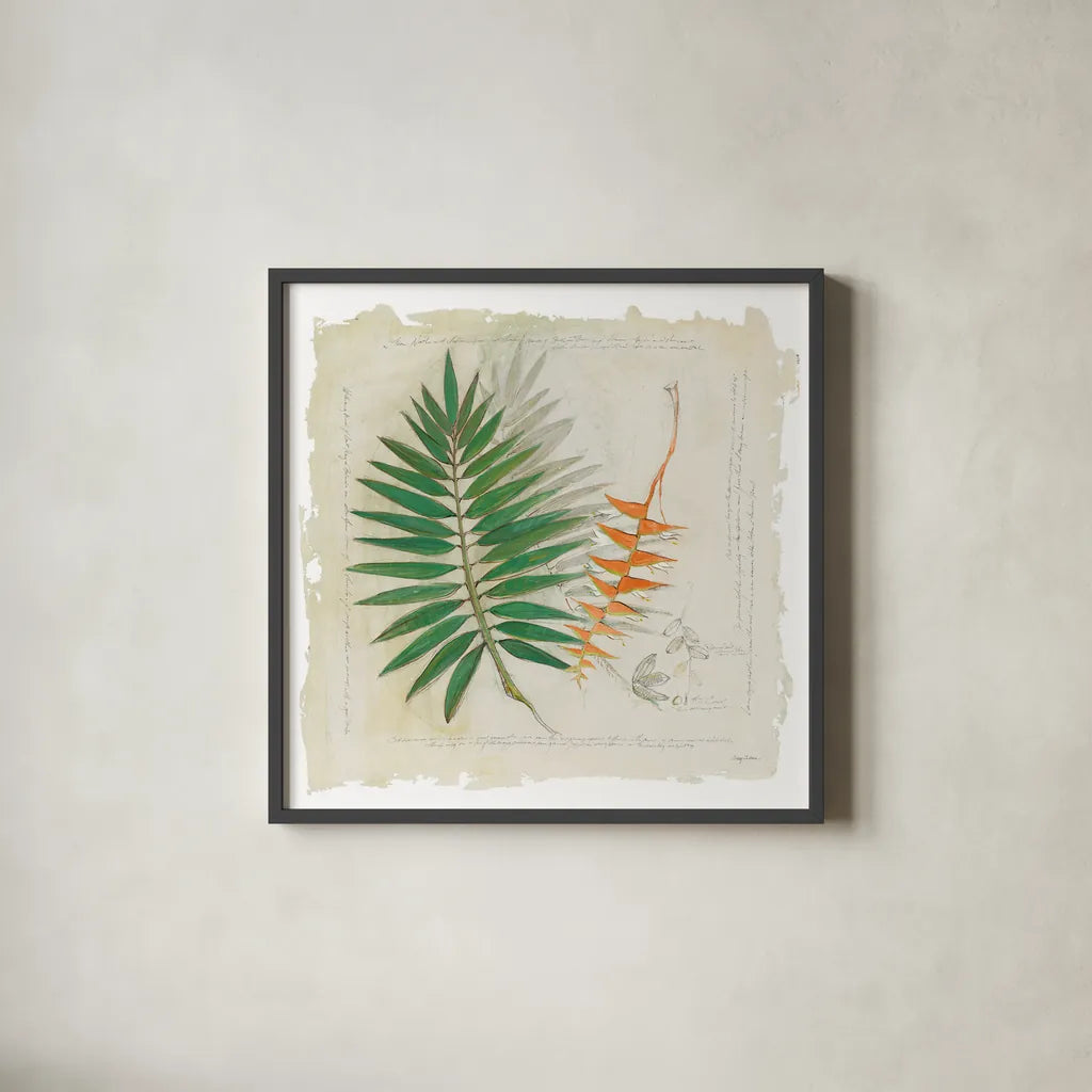 Botanical Study II Light by Avery Tillmon. Shown in a sleek black glass frame for a contemporary gallery look. Available as an archival giclee rolled canvas, fine art paper, or poster print. SKU 47398a.