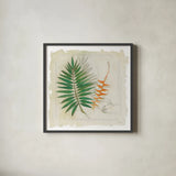 Botanical Study II Light by Avery Tillmon. Shown in a sleek black glass frame for a contemporary gallery look. Available as an archival giclee rolled canvas, fine art paper, or poster print. SKU 47398a.