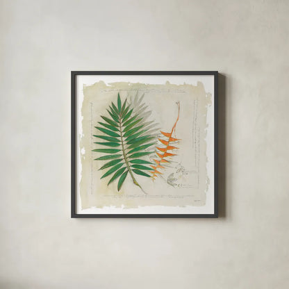 Botanical Study II Light by Avery Tillmon. Shown in a sleek black glass frame for a contemporary gallery look. Available as an archival giclee rolled canvas, fine art paper, or poster print. SKU 47398a.
