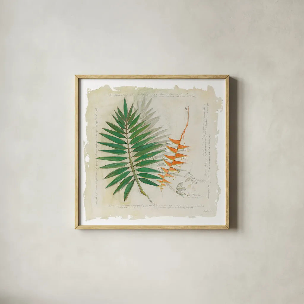 Botanical Study II Light by Avery Tillmon. Shown in a natural wood glass frame for a timeless modern aesthetic. Available as an archival giclee rolled canvas, fine art paper, or poster print. SKU 47398a.