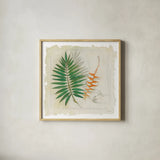 Botanical Study II Light by Avery Tillmon. Shown in a natural wood glass frame for a timeless modern aesthetic. Available as an archival giclee rolled canvas, fine art paper, or poster print. SKU 47398a.