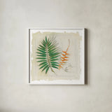 Botanical Study II Light by Avery Tillmon. Shown in a crisp white glass frame for a clean and minimalist style. Available as an archival giclee rolled canvas, fine art paper, or poster print. SKU 47398a.