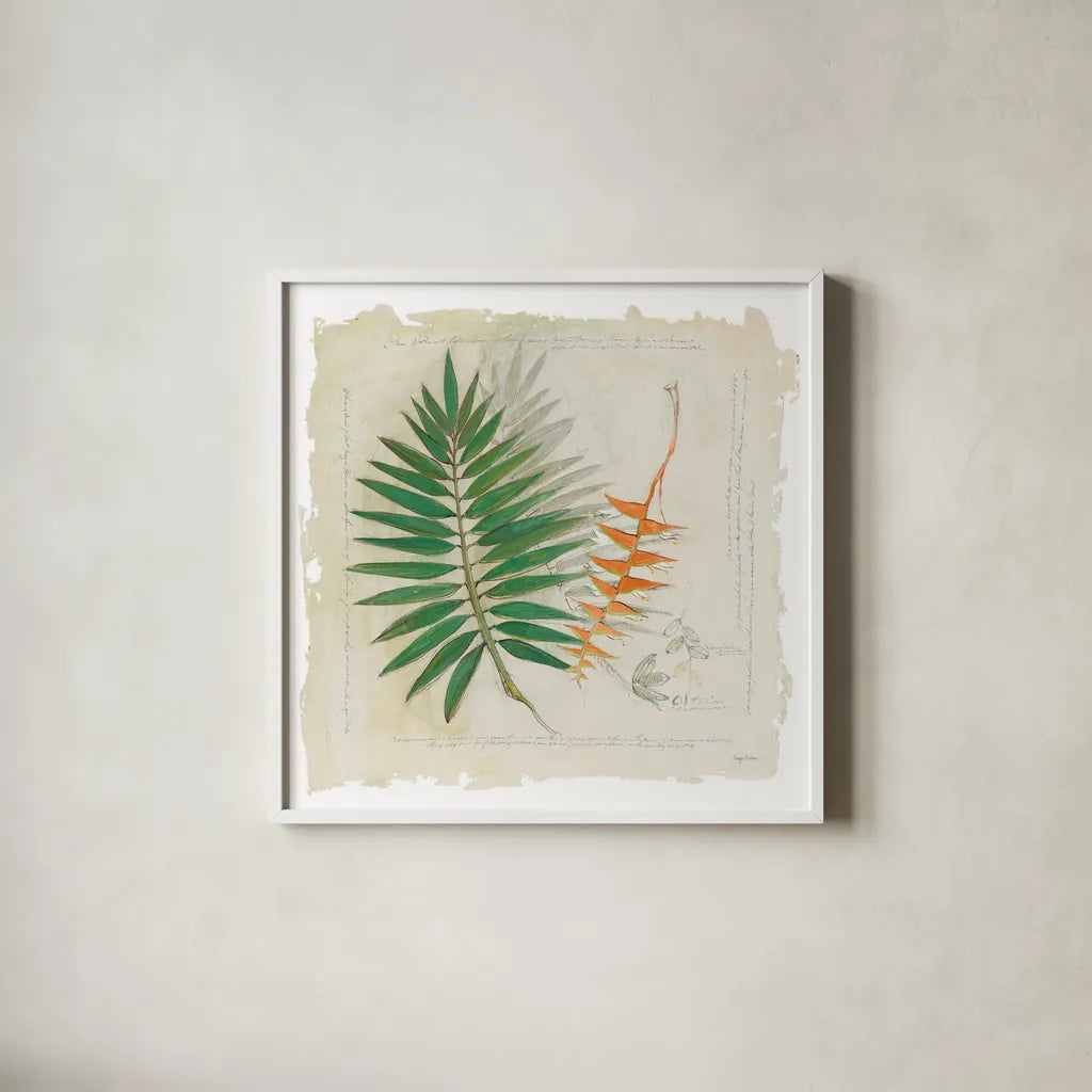 Botanical Study II Light by Avery Tillmon. Shown in a crisp white glass frame for a clean and minimalist style. Available as an archival giclee rolled canvas, fine art paper, or poster print. SKU 47398a.