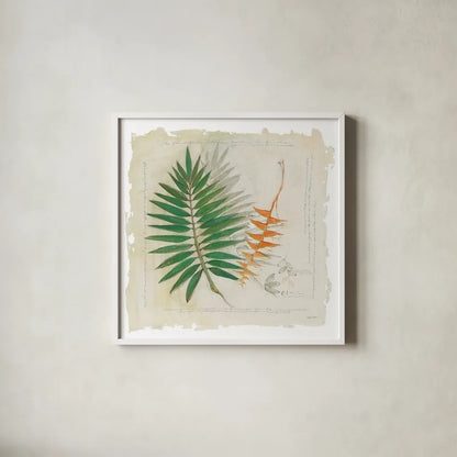 Botanical Study II Light by Avery Tillmon. Shown in a crisp white glass frame for a clean and minimalist style. Available as an archival giclee rolled canvas, fine art paper, or poster print. SKU 47398a.