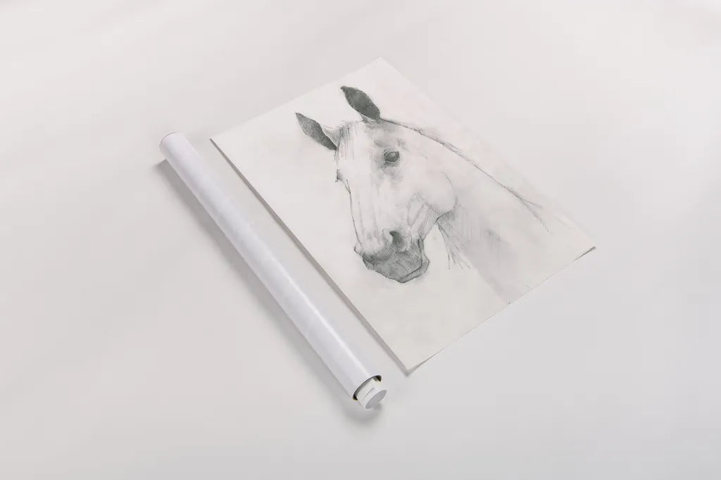 Caesar by Avery Tillmon. shown as a rolled paper print. Available as archival giclee rolled canvas, fine art paper, or poster print. SKU 61863h.