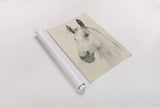 Caesar on Cream by Avery Tillmon. shown as a rolled paper print. Available as archival giclee rolled canvas, fine art paper, or poster print. SKU 72834h.