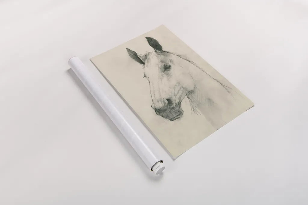 Caesar on Cream by Avery Tillmon. shown as a rolled paper print. Available as archival giclee rolled canvas, fine art paper, or poster print. SKU 72834h.