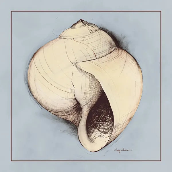 Coastal Shell I with Border by Avery Tillmon. SKU 8578a. Archival Giclee Fine art print for wall decor.