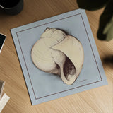 Coastal Shell I with Border by Avery Tillmon. Shown as a detailed flat fine art print, highlighting archival giclee quality. Available as an archival giclee rolled canvas, fine art paper, or poster print. SKU 8578a.