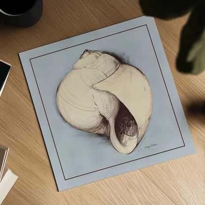 Coastal Shell I with Border by Avery Tillmon. Shown as a detailed flat fine art print, highlighting archival giclee quality. Available as an archival giclee rolled canvas, fine art paper, or poster print. SKU 8578a.