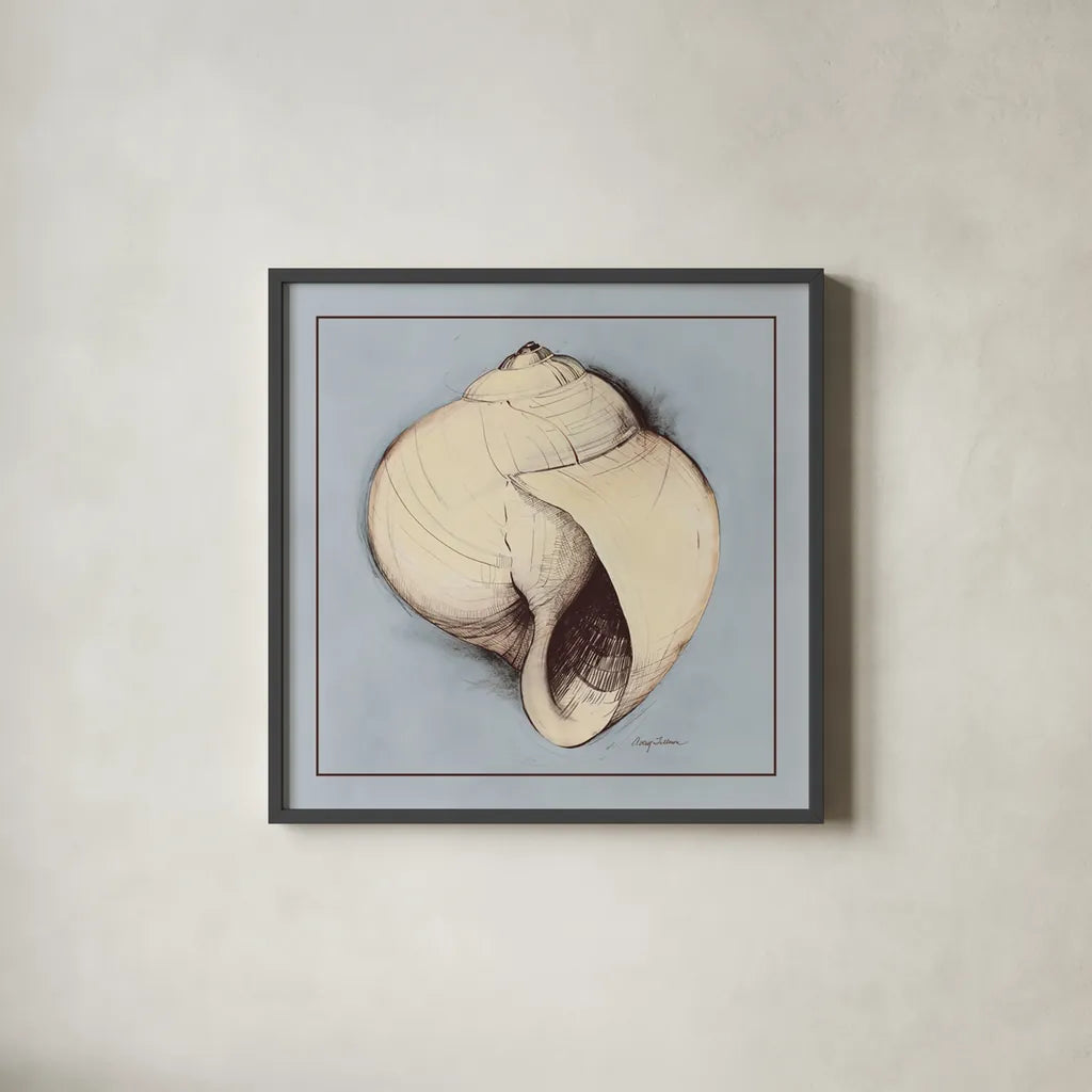 Coastal Shell I with Border by Avery Tillmon. Shown in a sleek black glass frame for a contemporary gallery look. Available as an archival giclee rolled canvas, fine art paper, or poster print. SKU 8578a.
