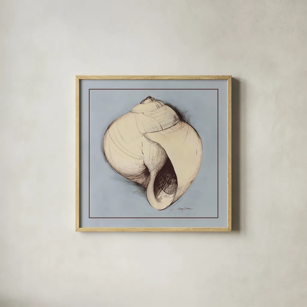 Coastal Shell I with Border by Avery Tillmon. Shown in a natural wood glass frame for a timeless modern aesthetic. Available as an archival giclee rolled canvas, fine art paper, or poster print. SKU 8578a.