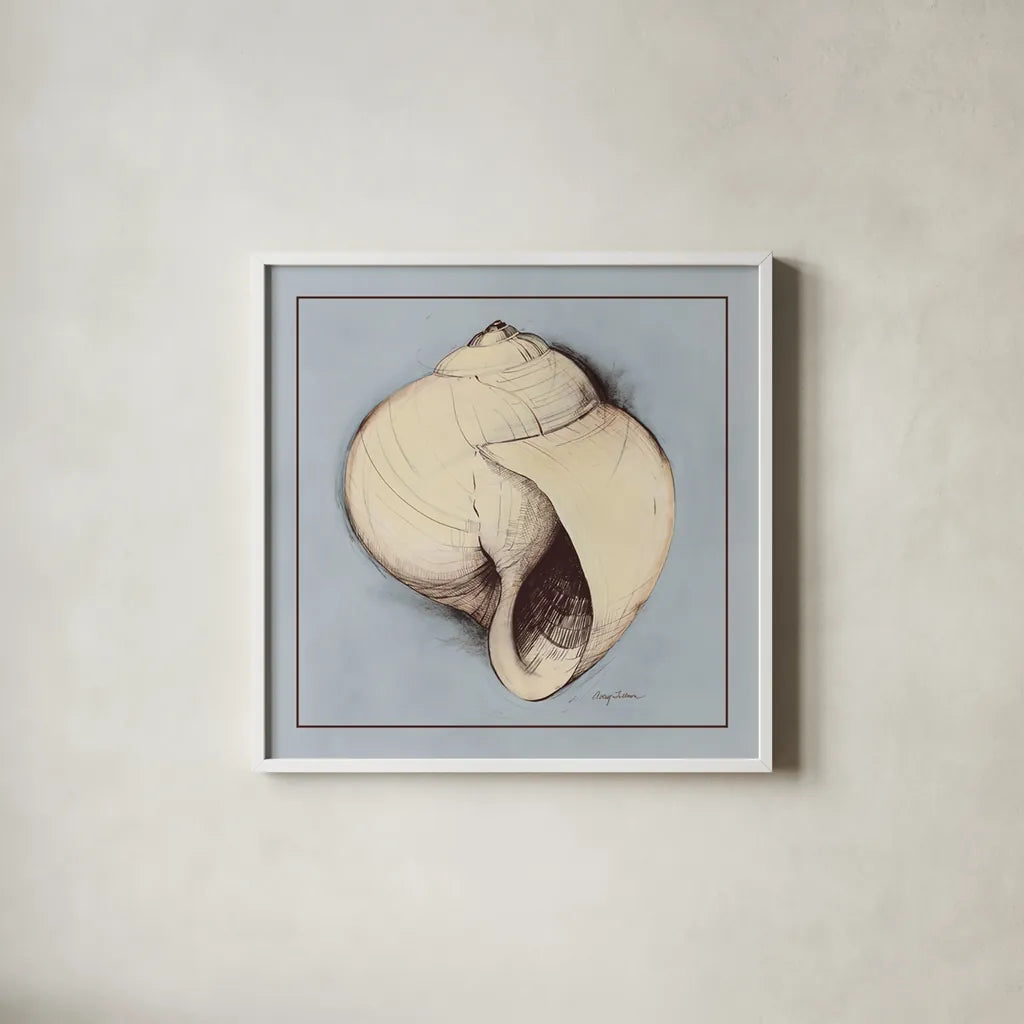 Coastal Shell I with Border by Avery Tillmon. Shown in a crisp white glass frame for a clean and minimalist style. Available as an archival giclee rolled canvas, fine art paper, or poster print. SKU 8578a.