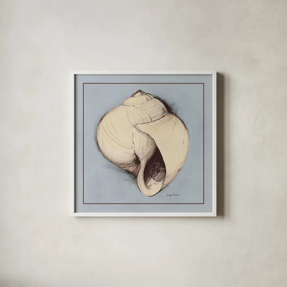 Coastal Shell I with Border by Avery Tillmon. Shown in a crisp white glass frame for a clean and minimalist style. Available as an archival giclee rolled canvas, fine art paper, or poster print. SKU 8578a.