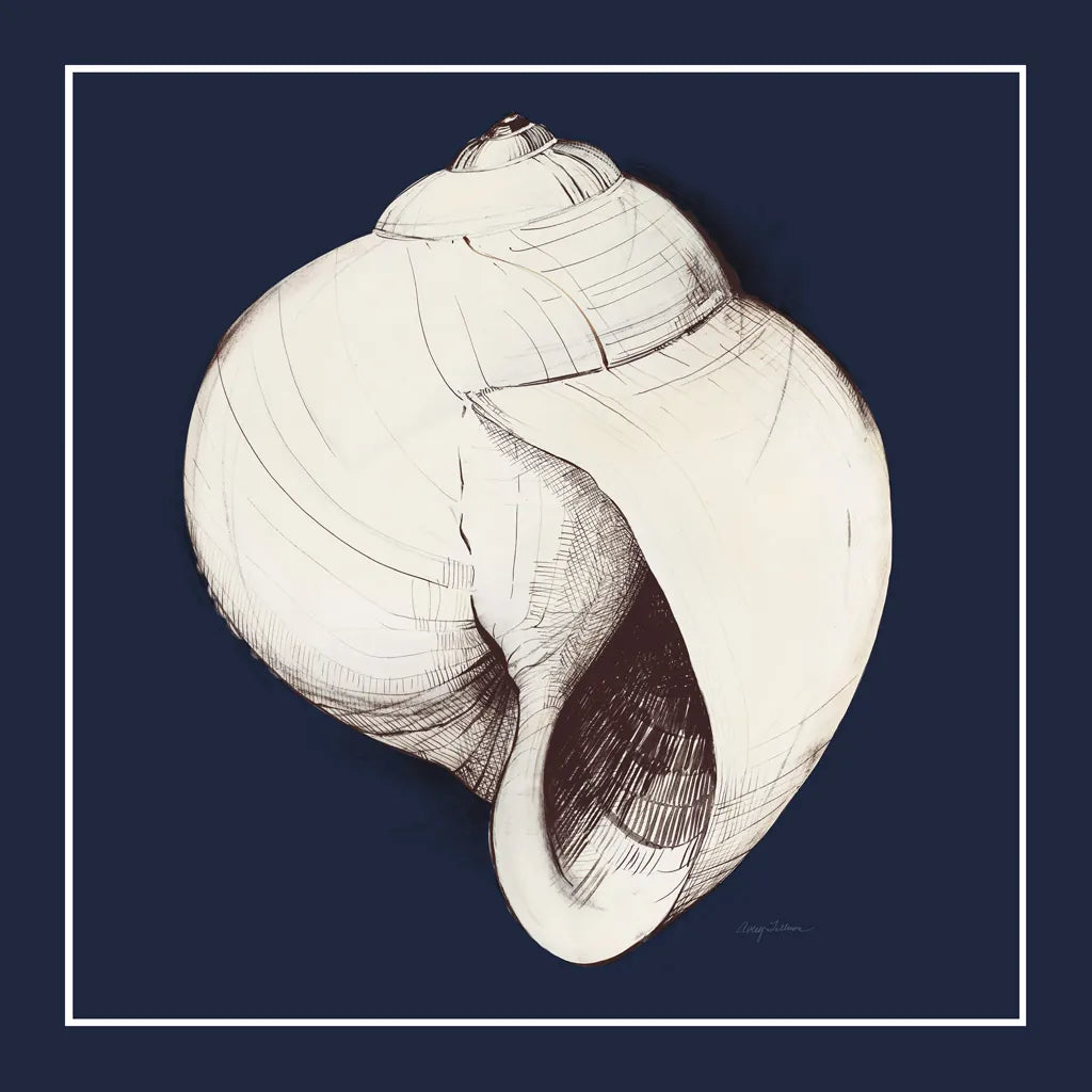 Coastal Shell I with Border Navy by Avery Tillmon. SKU 56156a. Archival Giclee Fine art print for wall decor.
