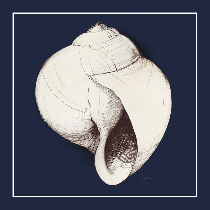 Coastal Shell I with Border Navy by Avery Tillmon. SKU 56156a. Archival Giclee Fine art print for wall decor.