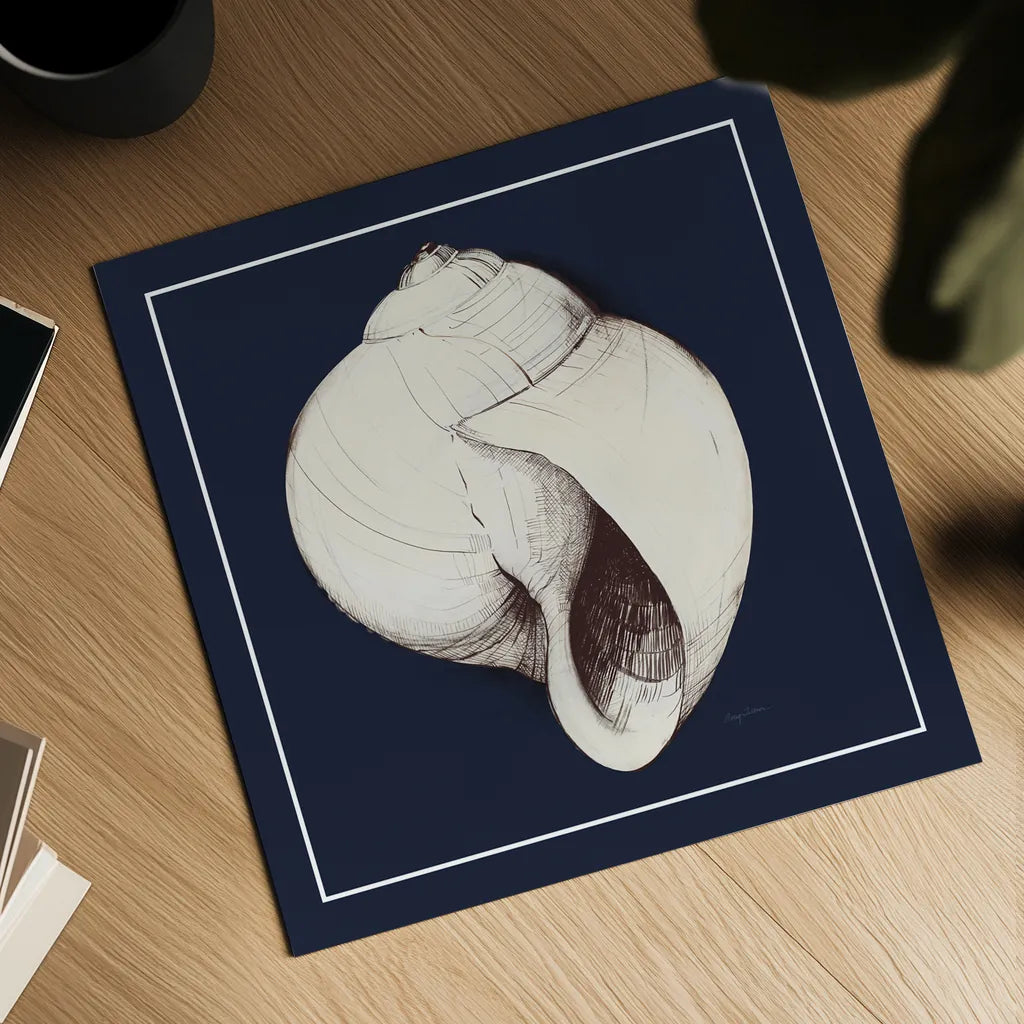 Coastal Shell I with Border Navy by Avery Tillmon. Shown as a detailed flat fine art print, highlighting archival giclee quality. Available as an archival giclee rolled canvas, fine art paper, or poster print. SKU 56156a.