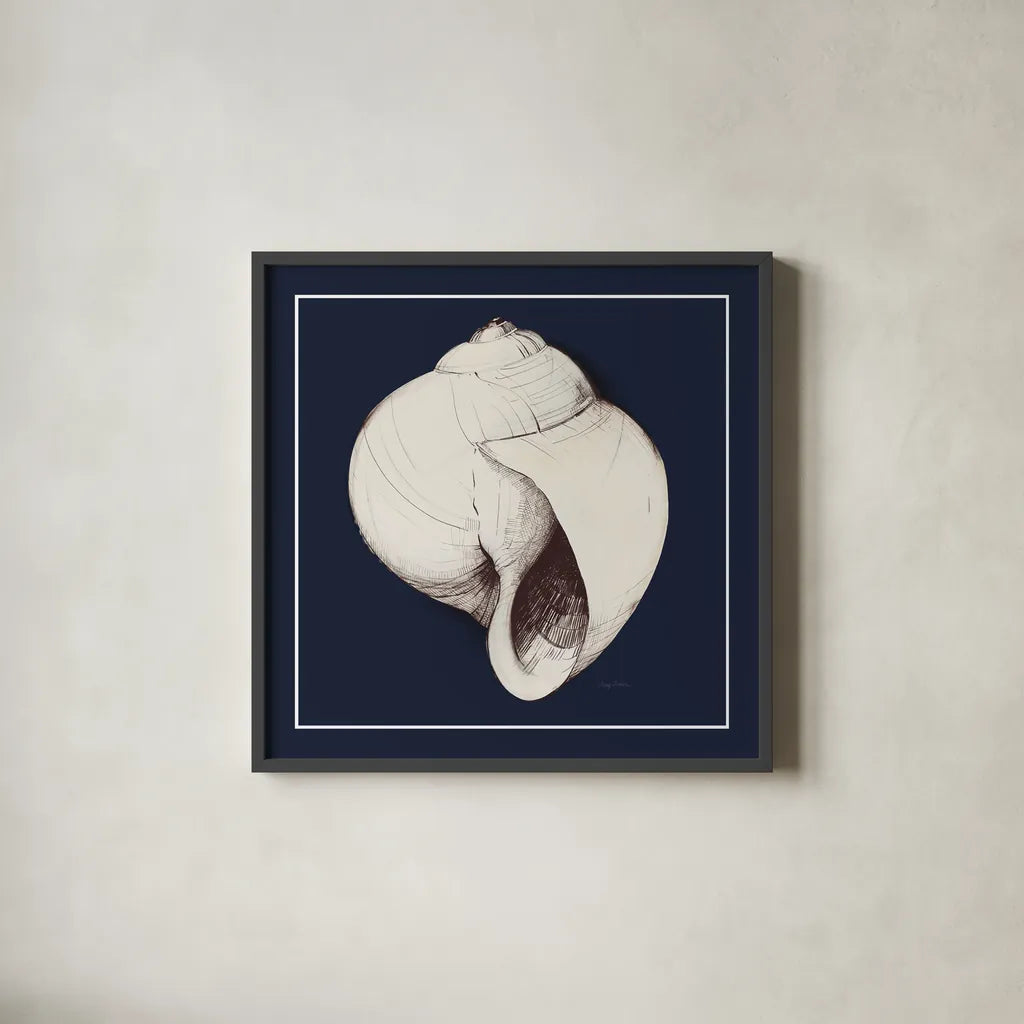 Coastal Shell I with Border Navy by Avery Tillmon. Shown in a sleek black glass frame for a contemporary gallery look. Available as an archival giclee rolled canvas, fine art paper, or poster print. SKU 56156a.