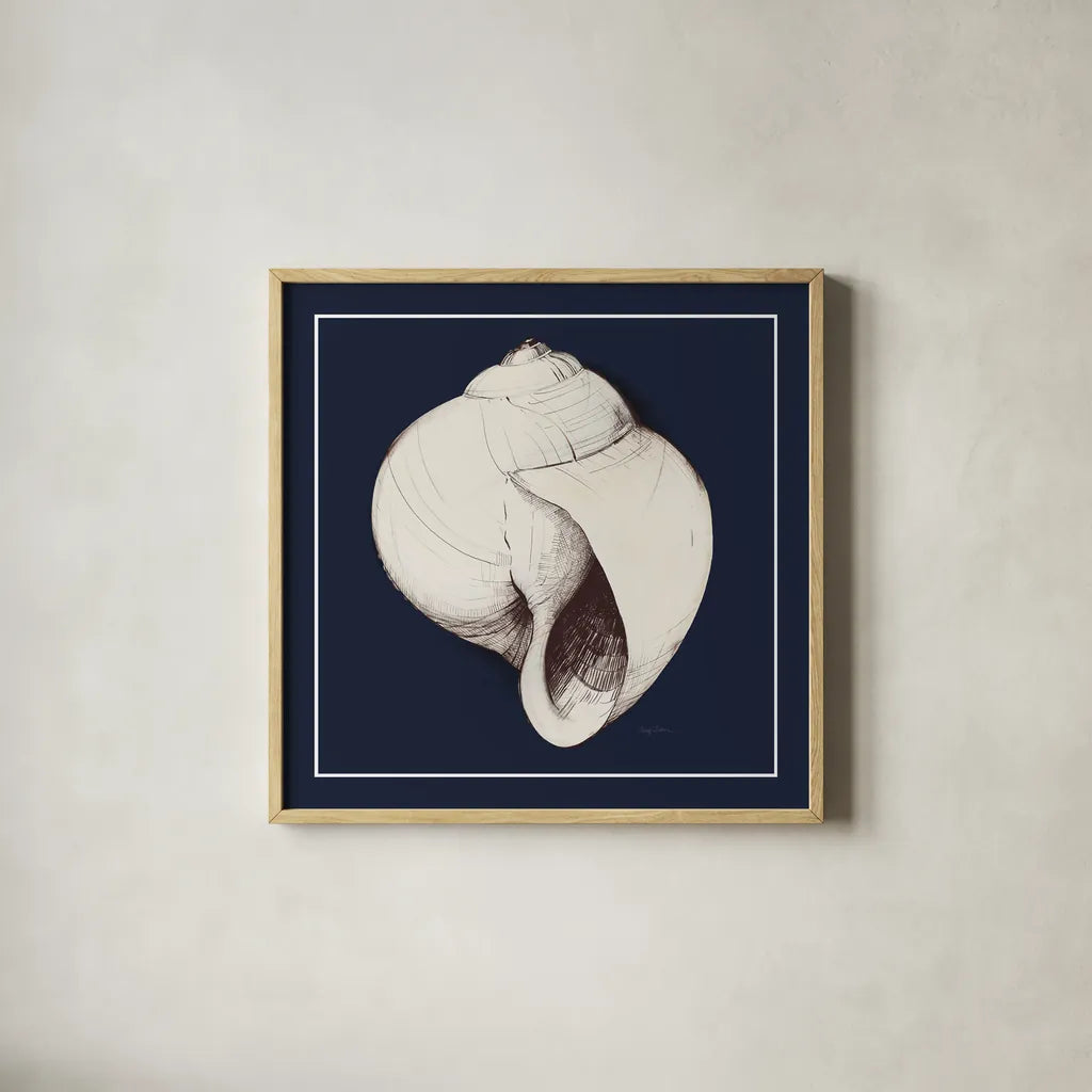 Coastal Shell I with Border Navy by Avery Tillmon. Shown in a natural wood glass frame for a timeless modern aesthetic. Available as an archival giclee rolled canvas, fine art paper, or poster print. SKU 56156a.