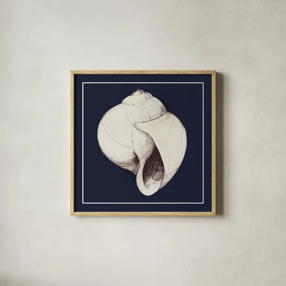 Coastal Shell I with Border Navy by Avery Tillmon. Shown in a natural wood glass frame for a timeless modern aesthetic. Available as an archival giclee rolled canvas, fine art paper, or poster print. SKU 56156a.