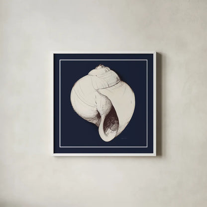 Coastal Shell I with Border Navy by Avery Tillmon. Shown in a crisp white glass frame for a clean and minimalist style. Available as an archival giclee rolled canvas, fine art paper, or poster print. SKU 56156a.