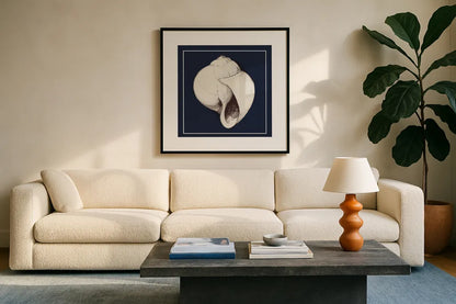 Coastal Shell I with Border Navy by Avery Tillmon. Displayed in a glass frame with matte in a clean modern living room. Available as an archival giclee rolled canvas, fine art paper, or poster print. SKU 56156a.