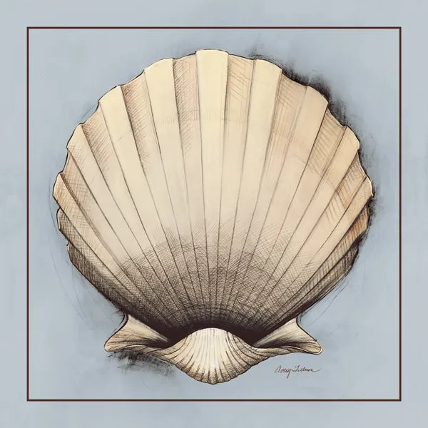 Coastal Shell II with Border by Avery Tillmon. SKU 8579a. Archival Giclee Fine art print for wall decor.