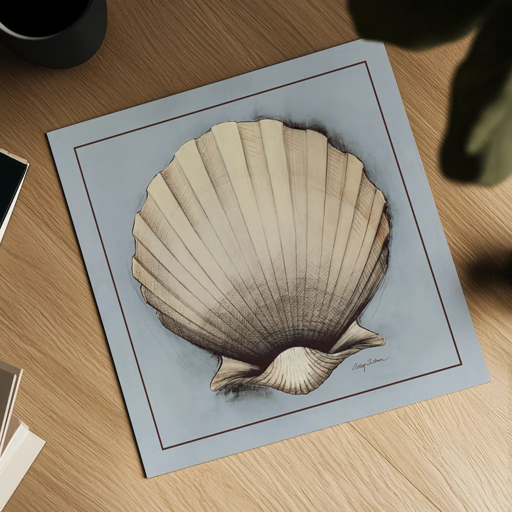 Coastal Shell II with Border by Avery Tillmon. Shown as a detailed flat fine art print, highlighting archival giclee quality. Available as an archival giclee rolled canvas, fine art paper, or poster print. SKU 8579a.