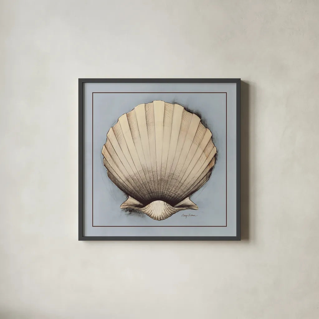 Coastal Shell II with Border by Avery Tillmon. Shown in a sleek black glass frame for a contemporary gallery look. Available as an archival giclee rolled canvas, fine art paper, or poster print. SKU 8579a.