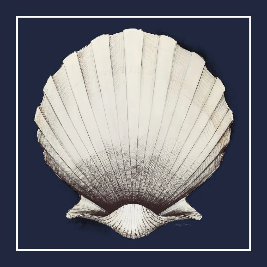 Coastal Shell II with Border Navy by Avery Tillmon. SKU 56157a. Archival Giclee Fine art print for wall decor.