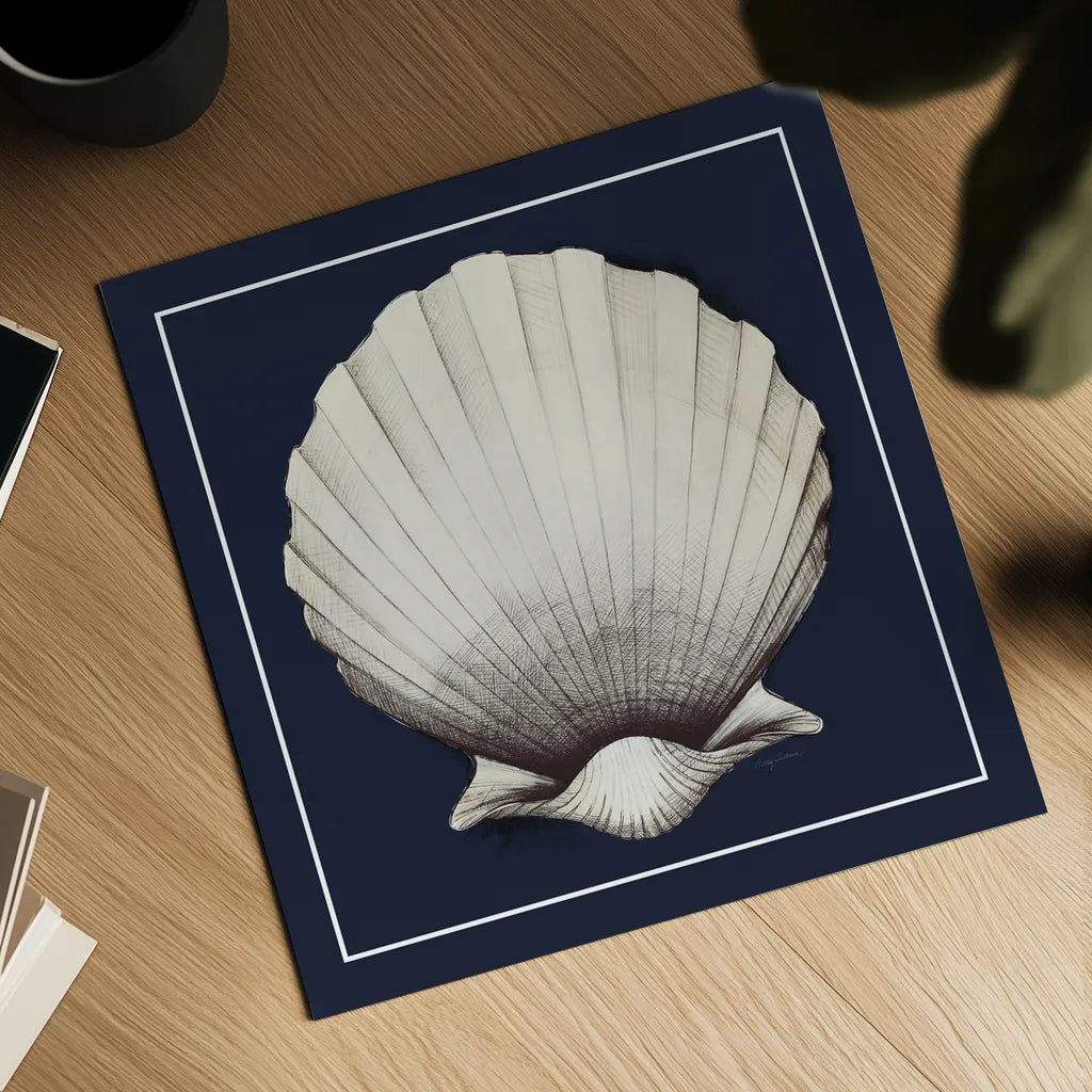 Coastal Shell II with Border Navy by Avery Tillmon. Shown as a detailed flat fine art print, highlighting archival giclee quality. Available as an archival giclee rolled canvas, fine art paper, or poster print. SKU 56157a.