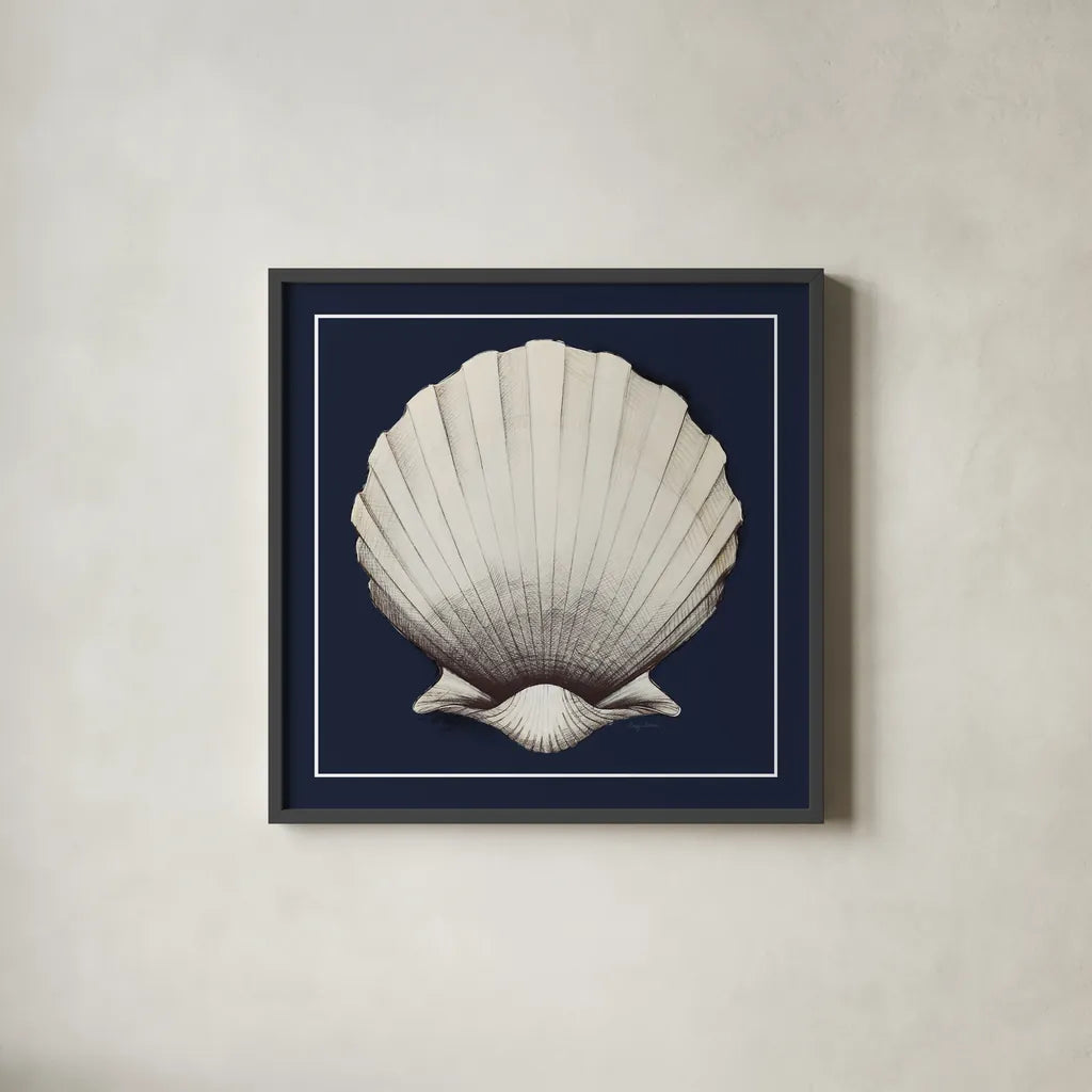 Coastal Shell II with Border Navy by Avery Tillmon. Shown in a sleek black glass frame for a contemporary gallery look. Available as an archival giclee rolled canvas, fine art paper, or poster print. SKU 56157a.
