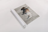 Colorful Bison Dark Brown on Wood by Avery Tillmon. shown as a rolled paper print. Available as archival giclee rolled canvas, fine art paper, or poster print. SKU 29800i.