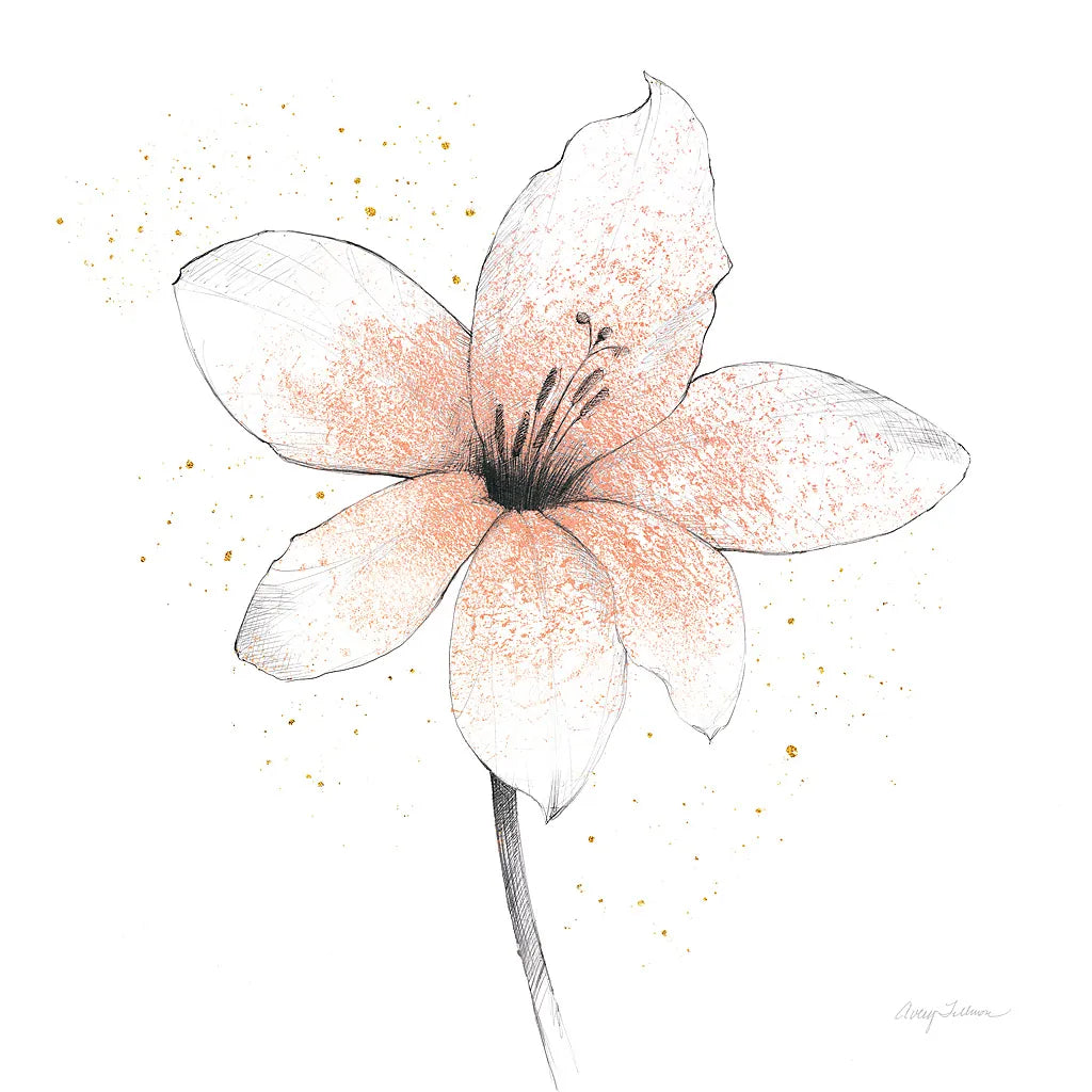 Coral Graphite Flower II by Avery Tillmon. SKU 29755a. Archival Giclee Fine art print for wall decor.
