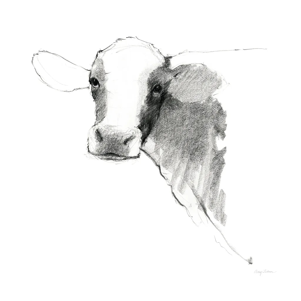 Cow II Dark Square by Avery Tillmon. SKU 36141a. Archival Giclee Fine art print for wall decor.