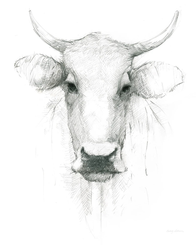 Cow Sketch by Avery Tillmon