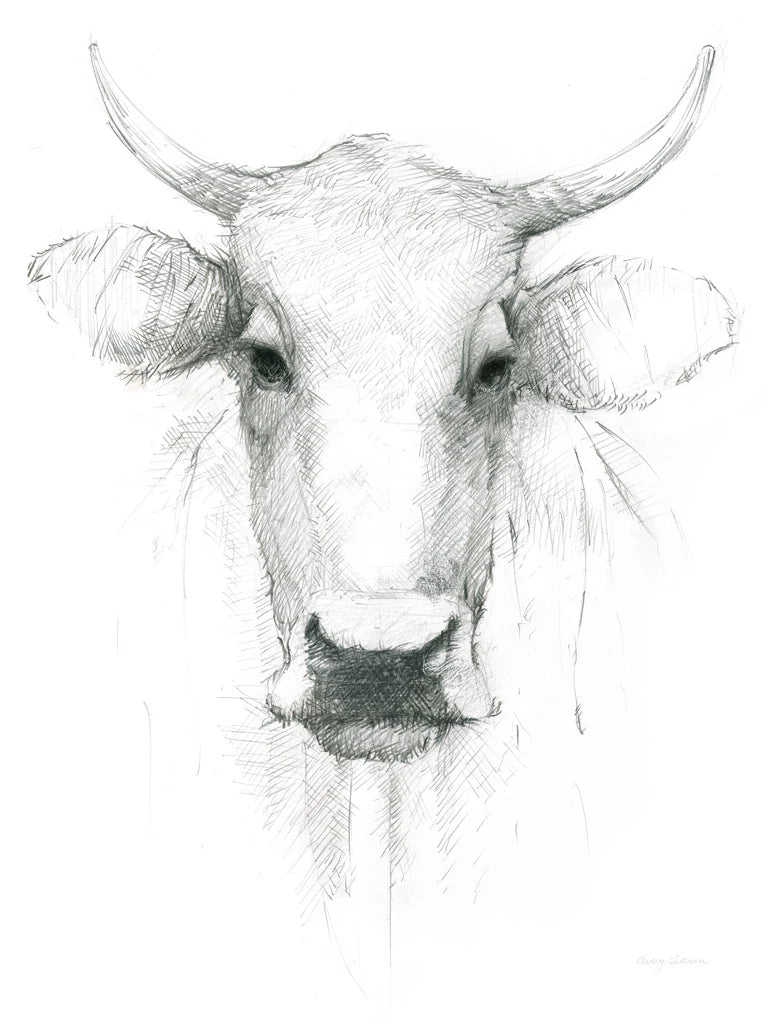 Cow Sketch Crop by Avery Tillmon
