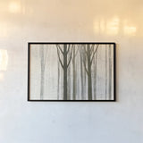 Down to the Woods on White Crop by Avery Tillmon. shown as a paper print in a black flame. Available as a archival giclee rolled canvas, fine art paper, or poster print. SKU 14224i.