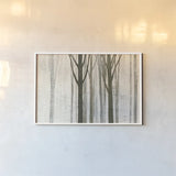 Down to the Woods on White Crop by Avery Tillmon. shown as a paper print in a white frame. Available as a archival giclee rolled canvas, fine art paper, or poster print. SKU 14224i.