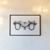 Farm and Garden I by Avery Tillmon. shown as a paper print in a black flame. Available as a archival giclee rolled canvas, fine art paper, or poster print. SKU 59897i.