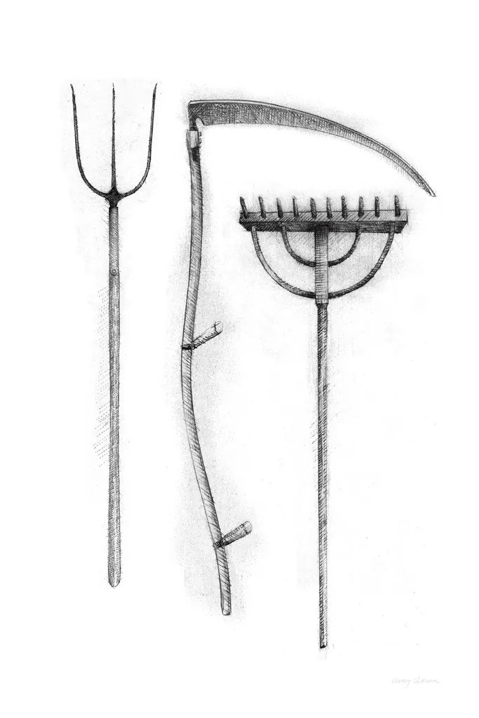 Farm and Garden VI by Avery Tillmon. SKU 59902h. Archival Giclee Fine art print for wall decor.