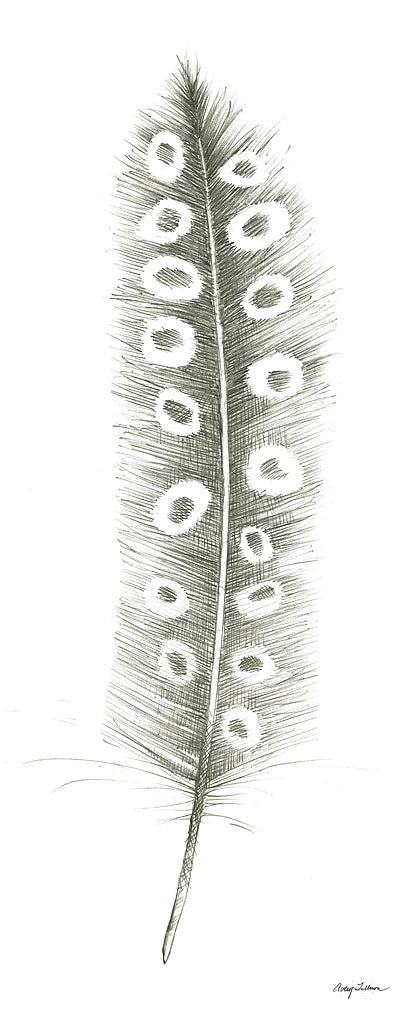 Feather Sketches VII by Avery Tillmon
