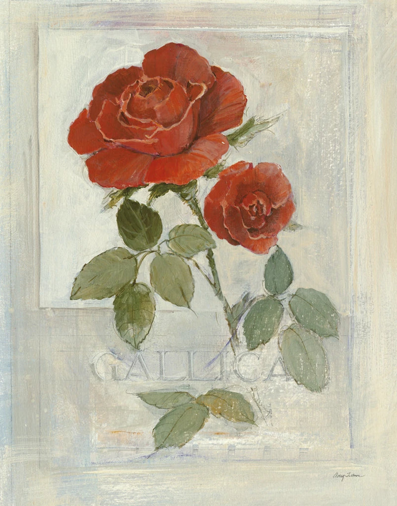 Gallica Rose by Avery Tillmon