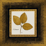 Gilded Viburnum by Avery Tillmon. SKU 8570a. Archival Giclee Fine art print for wall decor.