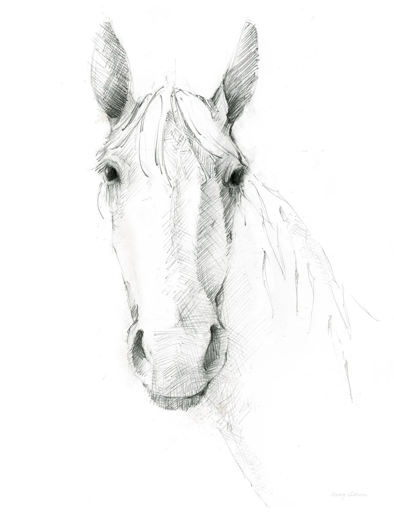 Horse Sketch Crop by Avery Tillmon
