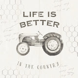 Life at Home II on Chicken Wire Background by Avery Tillmon. SKU 54163a. Archival Giclee Fine art print for wall decor.