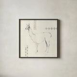Llama Land VIII with Black by Avery Tillmon. Shown in a sleek black glass frame for a contemporary gallery look. Available as an archival giclee rolled canvas, fine art paper, or poster print. SKU 52888a.